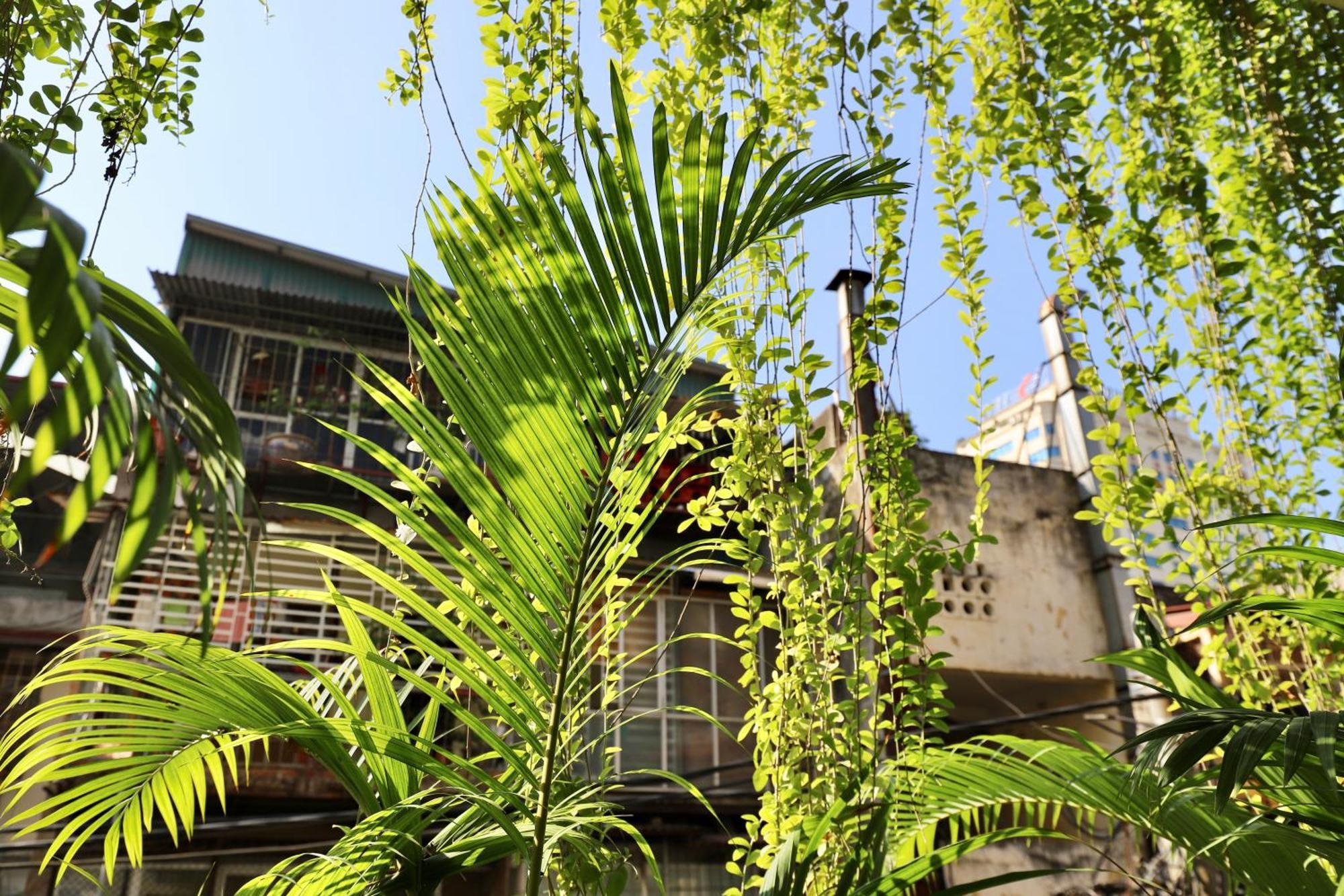 The Garden House Apartment Hanoi Exterior photo